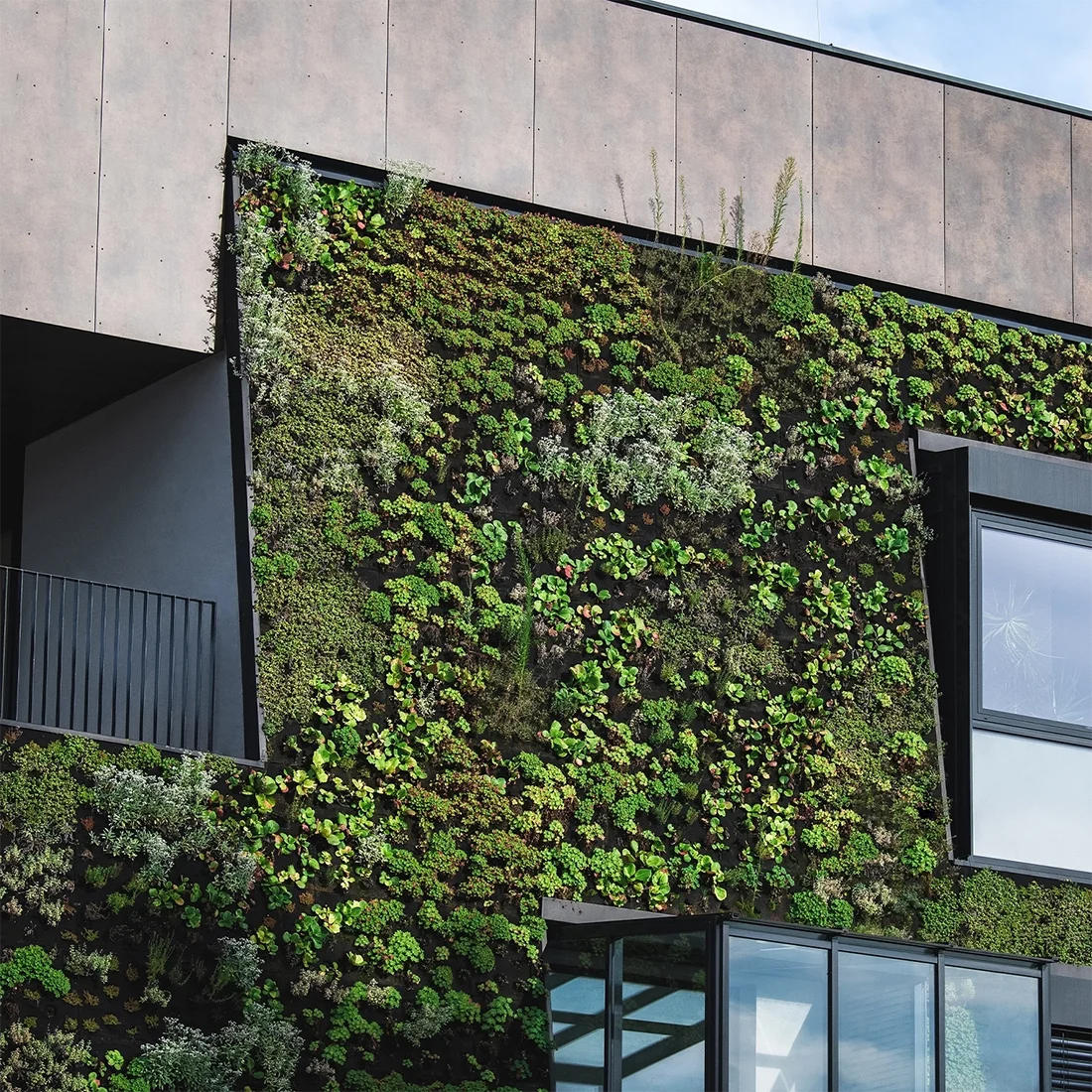 Wandgebundene Begrünung PLANT WALL
