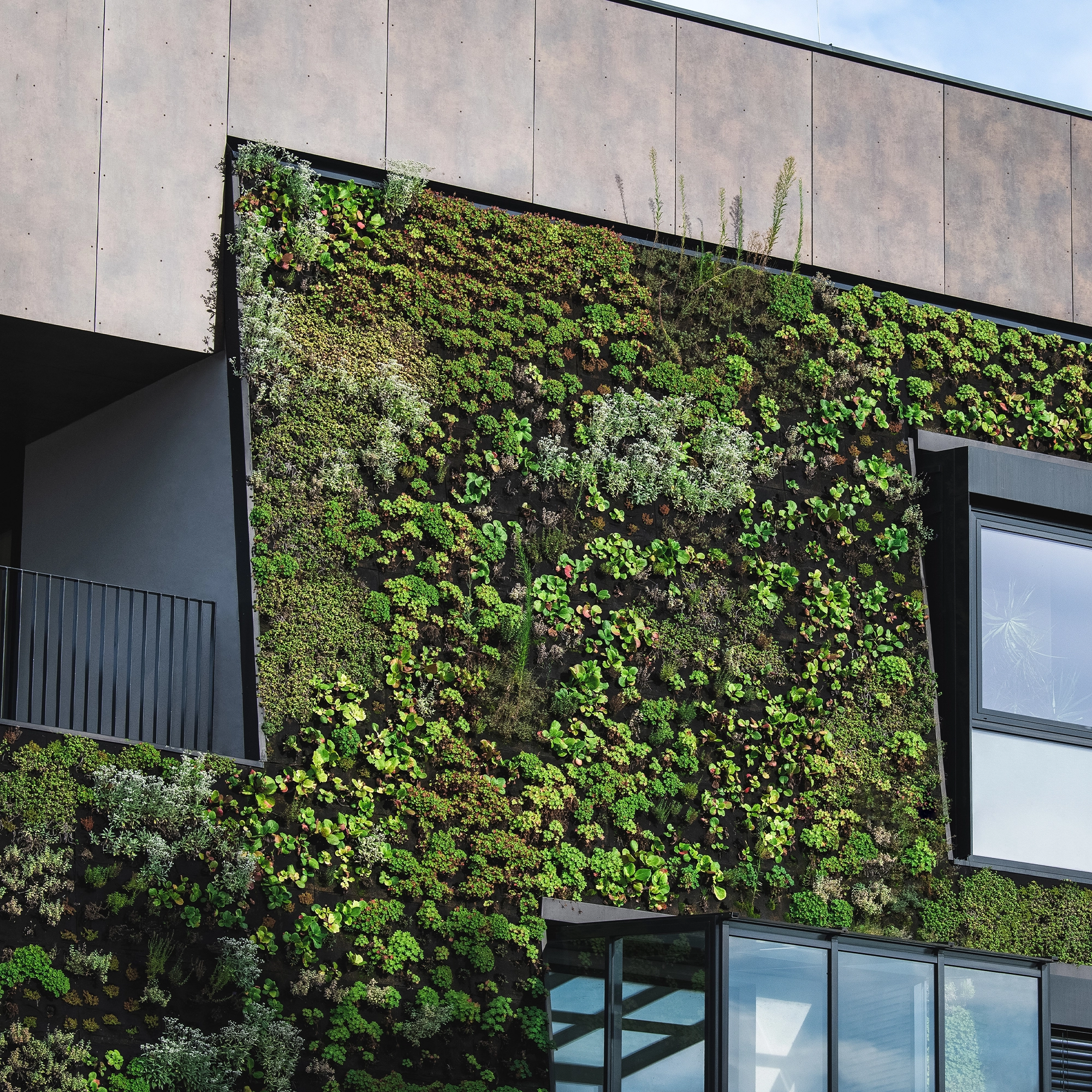 Wandgebundene Begrünung PLANT WALL 